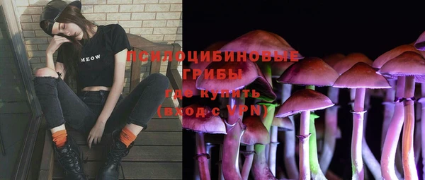 стаф Вязники