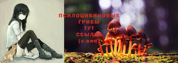 стаф Вязники