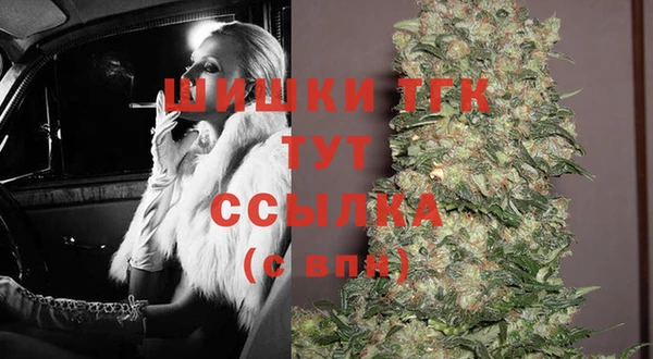 стаф Вязники