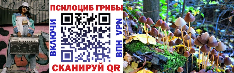 Галлюциногенные грибы мицелий  Купить где  Шуя 