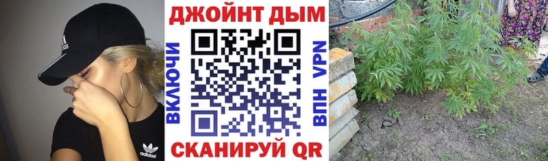 Купить  Шуя  Канабис VHQ 